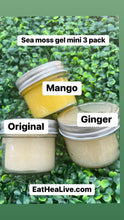 Load image into Gallery viewer, Sea moss Gel 3 Pack