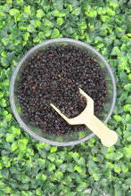 Load image into Gallery viewer, vegan, plant based diet, elderberries, tallahassee herbs, dried elderberries, immune booster, vitamins, minerals to boost your immune system, elderberry syrup, organic elderberries