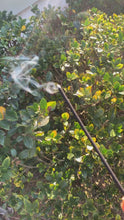 Load and play video in Gallery viewer, Sage incense
