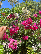 Load image into Gallery viewer, Frankincense incense