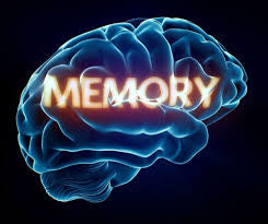 3 alkaline foods for memory