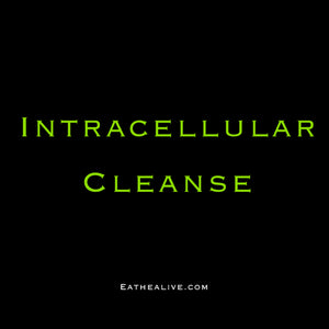 Intracellular Cleanse